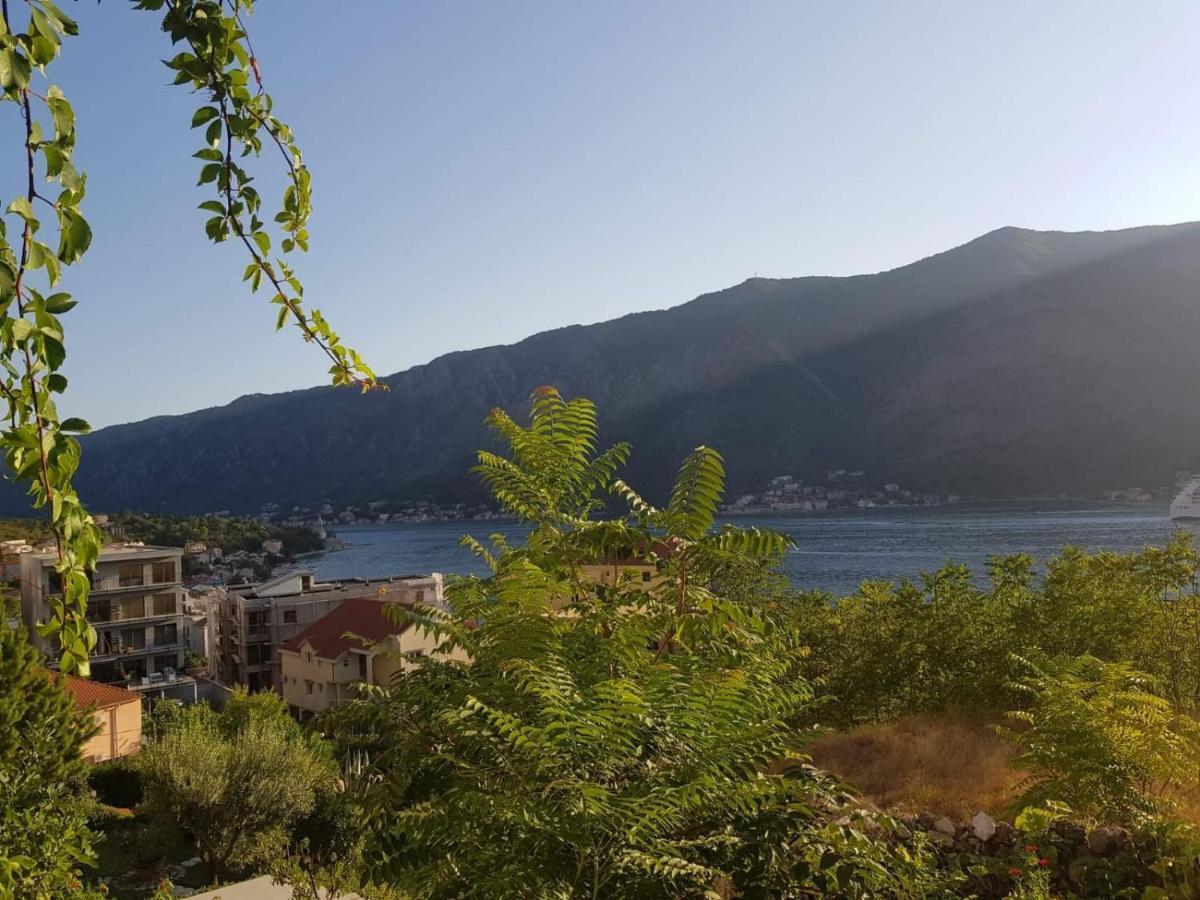 Biser Lux - Kotor Bay - Sea View & Swimming Pool Apartment